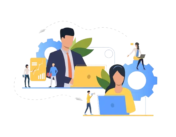 custom web development custom web development